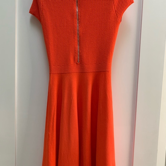 Autumn Cashmere tangerine fit and flare dress - Picture 4 of 5